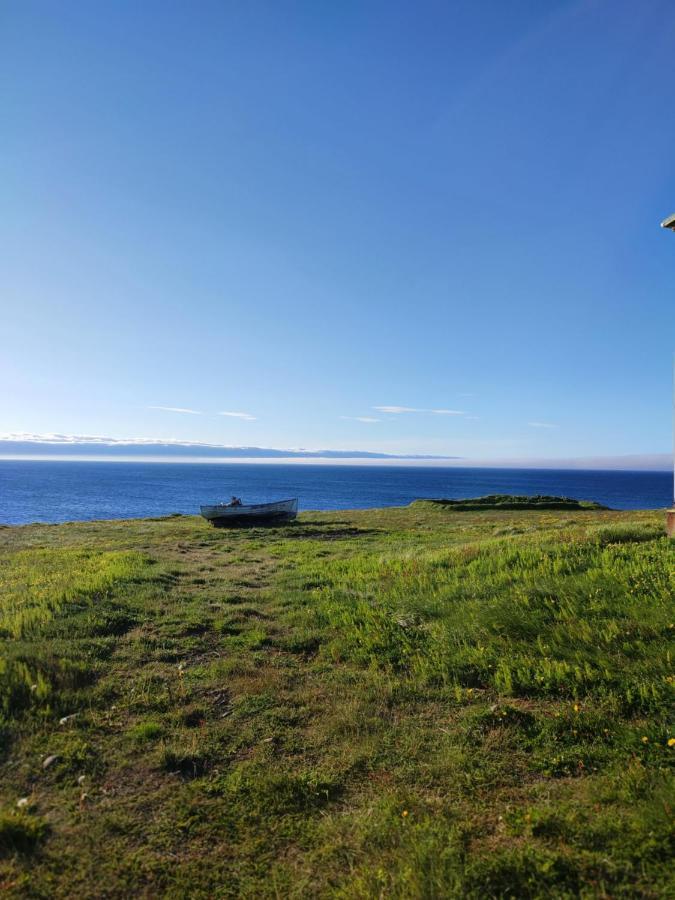 Happy-Cove Guesthouse - By The Sea Bakkafjorthur المظهر الخارجي الصورة